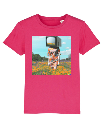 TV Head Raspberry