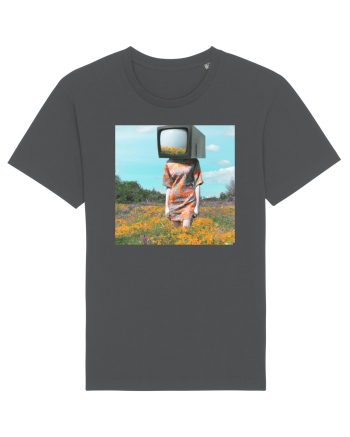 TV Head Anthracite