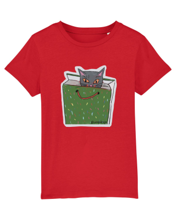 cat in a bag Red
