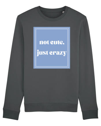 not cute just crazy Anthracite