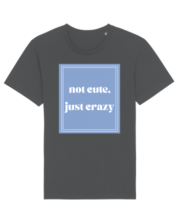 not cute just crazy Anthracite
