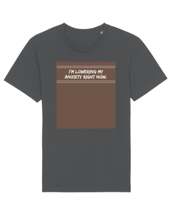 i m lowering my anxiety right now2 Anthracite