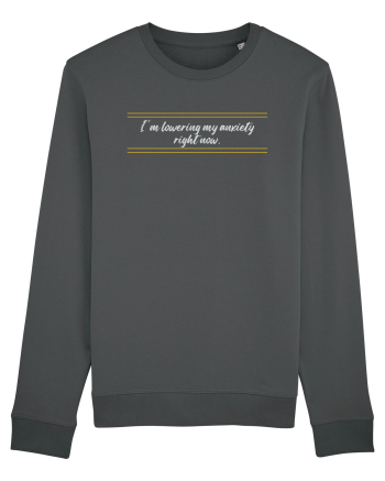 i m lowering my anxiety right now3 Anthracite