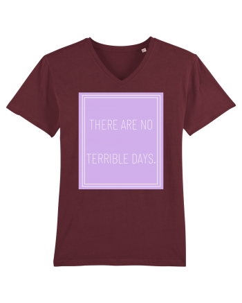there are no terrible days5 Burgundy