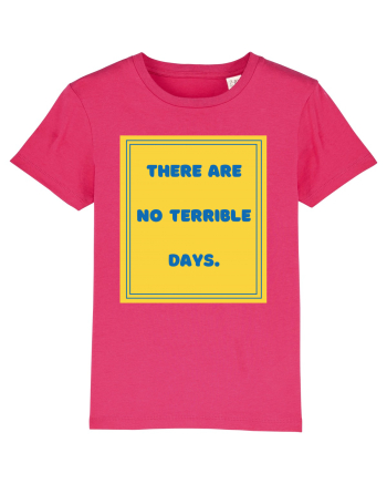 there are no terrible days8 Raspberry