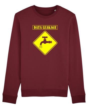 Data Leackage Burgundy