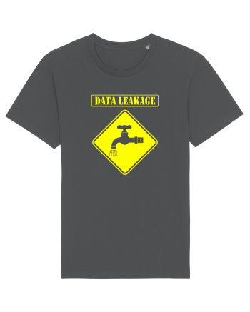Data Leackage Anthracite