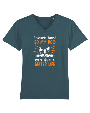 Work hard for my dog Stargazer