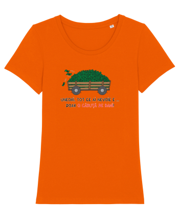O căruță de bani Bright Orange