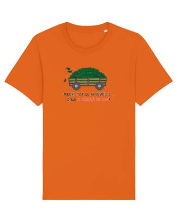 O căruță de bani Bright Orange