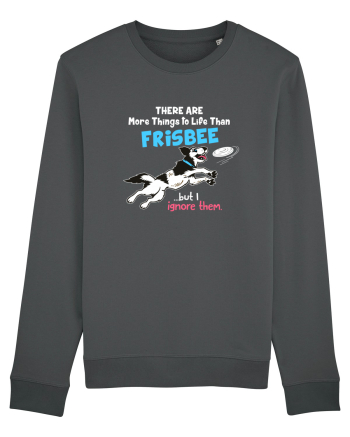 Frisbee Anthracite