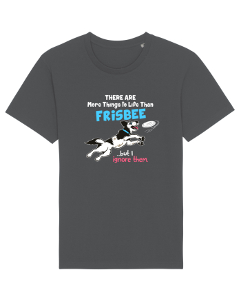 Frisbee Anthracite