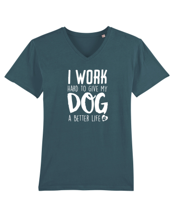 Dog life Stargazer