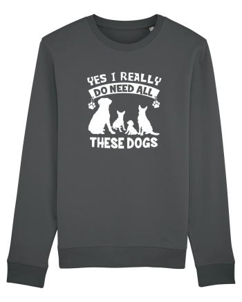 I need all these dogs Anthracite