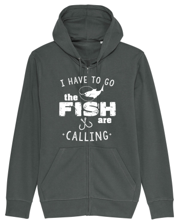 The fish are calling Anthracite