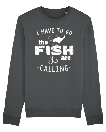 The fish are calling Anthracite
