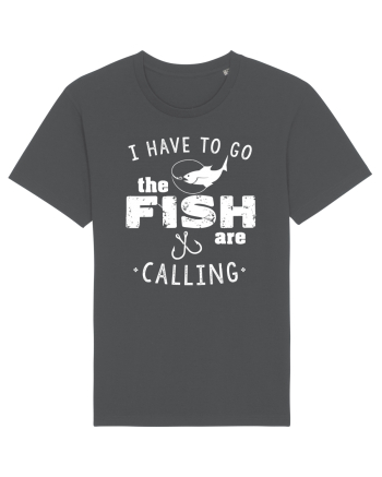 The fish are calling Anthracite