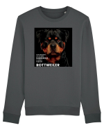 Rottweiler Mesaj Bluză mânecă lungă Unisex Rise
