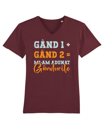 Mi-am adunat gâdurile Burgundy
