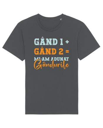 Mi-am adunat gâdurile Anthracite