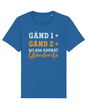 Mi-am adunat gâdurile Royal Blue