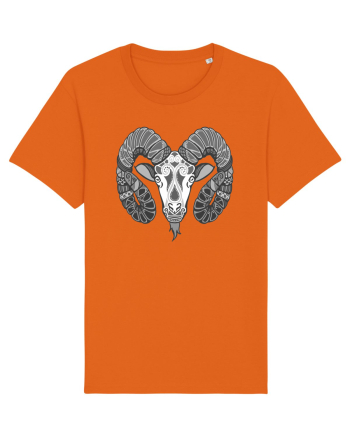 Berbec-zodiac B&W Bright Orange