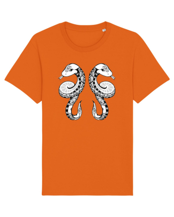 Gemeni-zodiac B&W Bright Orange