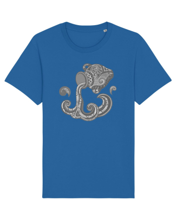 Varsator-zodiac B&W Royal Blue