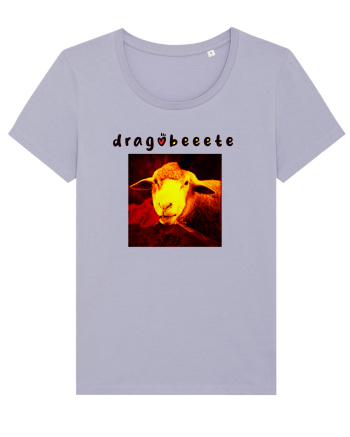 dragobeeete Lavender