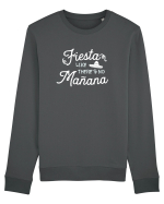 Fiesta like there is no manana Bluză mânecă lungă Unisex Rise