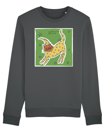 portrait of a cosmic cat Anthracite