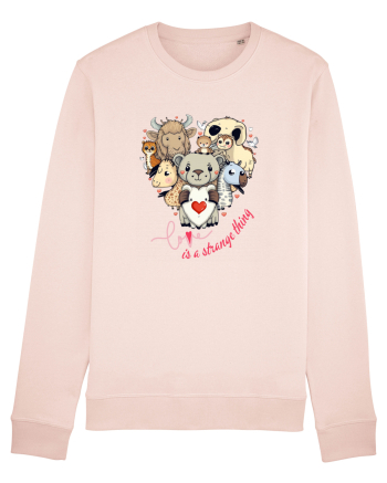 Love is a strange thing Candy Pink
