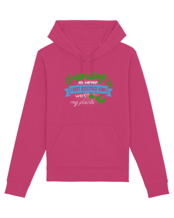 SPRING Raspberry