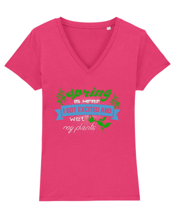 SPRING Raspberry