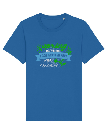 SPRING Royal Blue