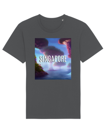 SINGAPORE Anthracite