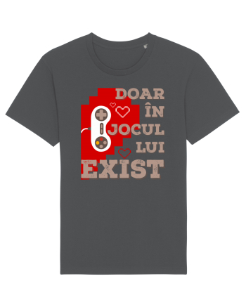 Doar în jocul lui exist Anthracite