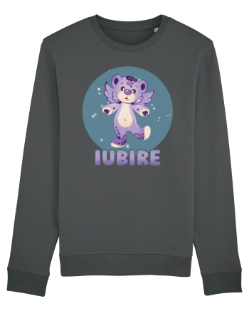 Iubire cu ursuleț - v1 Anthracite