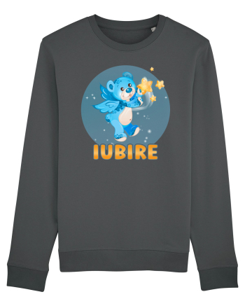 Iubire cu ursuleț - v4 Anthracite