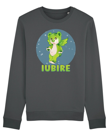 Iubire cu ursuleț - v5 Anthracite