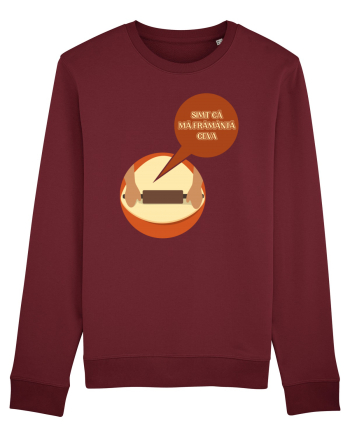 Simt că mă frământă ceva Burgundy