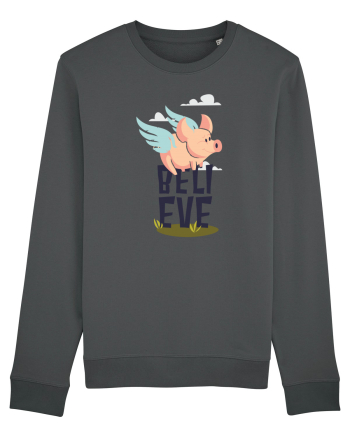 Believe Flying Pig Anthracite