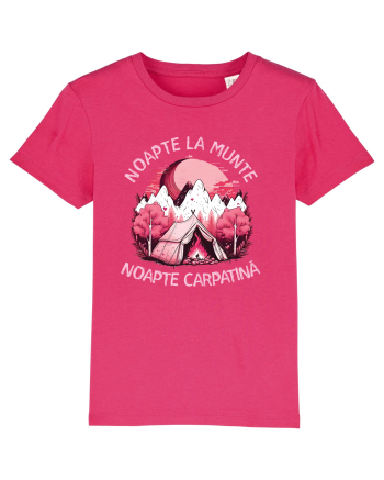 Noapte la munte noapte carpatină Raspberry
