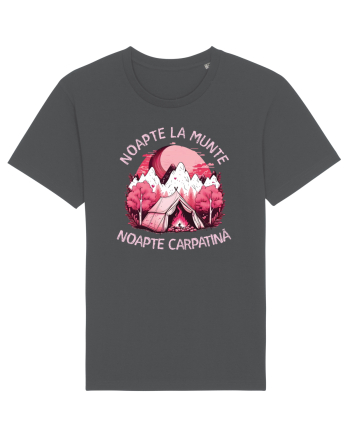 Noapte la munte noapte carpatină Anthracite