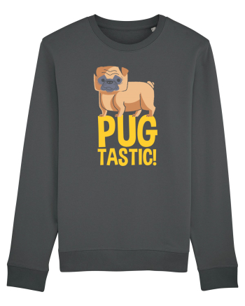 PUGtastic! Anthracite
