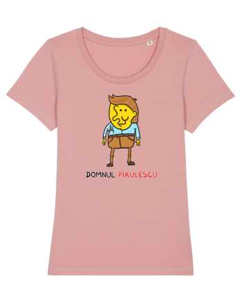 Domnul Pixulescu Canyon Pink