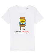 Domnul Pixulescu Tricou mânecă scurtă  Copii Mini Creator