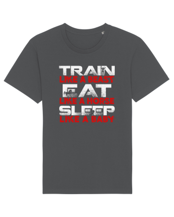 TRAIN EAT SLEEP Anthracite