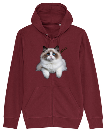Pisica siameza ochi albastri Meow Miau Burgundy