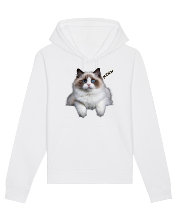 Pisica siameza ochi albastri Meow Miau White